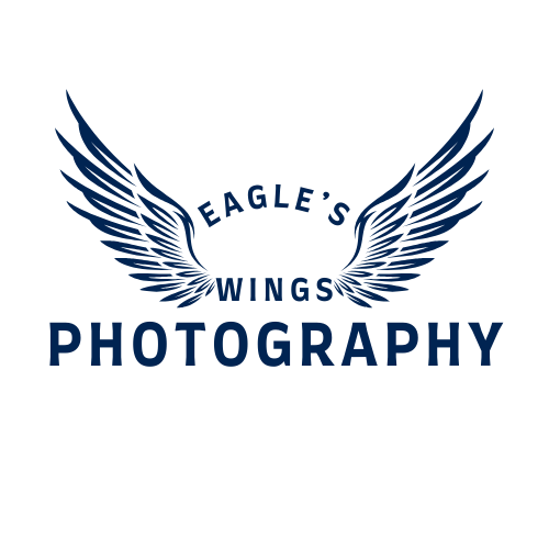 eagleswingsphoto.com